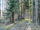 Išskirtinis sklypas Anykščių šilelyje - nuotraukos Nr. 12