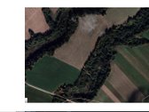 Raseinių rajone parduodamas 32,4 ha žemės - nuotraukos Nr. 4