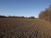 Raseinių rajone parduodamas 32,4 ha žemės - nuotraukos Nr. 3