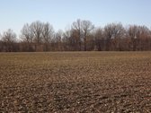 Raseinių rajone parduodamas 32,4 ha žemės - nuotraukos Nr. 2