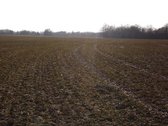 Raseinių rajone parduodamas 32,4 ha žemės - nuotraukos Nr. 5