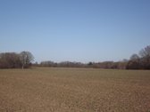 Raseinių rajone parduodamas 32,4 ha žemės