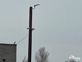 Parduodamos patrauklus komercinis objektas - nuotraukos Nr. 22
