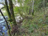 Miškų paskirties sklypas. Sklypas 2 hektarai. - nuotraukos Nr. 5