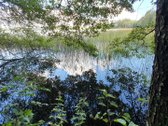 Miškų paskirties sklypas. Sklypas 2 hektarai. - nuotraukos Nr. 12