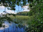 Miškų paskirties sklypas. Sklypas 2 hektarai. - nuotraukos Nr. 13
