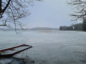 Miškų paskirties sklypas. Sklypas 2 hektarai. - nuotraukos Nr. 2