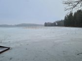 Miškų paskirties sklypas. Sklypas 2 hektarai. - nuotraukos Nr. 15