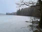 Miškų paskirties sklypas. Sklypas 2 hektarai. - nuotraukos Nr. 16