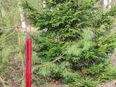 Parduodamas 1,2079 ha žemės ūkio paskirties - nuotraukos Nr. 4