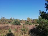 Parduodamas 1,2079 ha žemės ūkio paskirties - nuotraukos Nr. 9