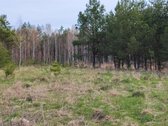 Parduodamas 1,2079 ha žemės ūkio paskirties - nuotraukos Nr. 8