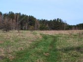 Parduodamas 1,2079 ha žemės ūkio paskirties - nuotraukos Nr. 12