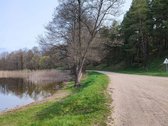 Parduodamas 1,2079 ha žemės ūkio paskirties - nuotraukos Nr. 14