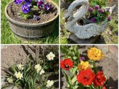 Parduodamas Pilnai Įrengtas Namas Šalia Trakų. - nuotraukos Nr. 21