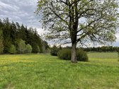 Parduodamas sklypas 1.5 ha nuostabioje - nuotraukos Nr. 7