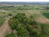 Parduodami 3 žemės ūkio paskirties sklypai - - nuotraukos Nr. 10