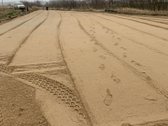 Norint pirkti po vieną sklypą kaina 690 Eur - nuotraukos Nr. 7