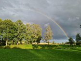 Parduodama autentiška ,100 liepų sodyba - nuotraukos Nr. 18