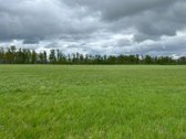 Zemes ukio paskirties sklypas. Prie pat - nuotraukos Nr. 13
