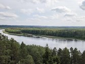 Parduodame 2,81ha ploto miškų ūkio paskirties - nuotraukos Nr. 9