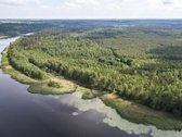 Parduodame 2,81ha ploto miškų ūkio paskirties - nuotraukos Nr. 10