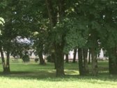 Parduodamas Rokiškio rajone Salų miestelyje - nuotraukos Nr. 5