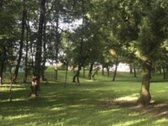 Parduodamas Rokiškio rajone Salų miestelyje - nuotraukos Nr. 7
