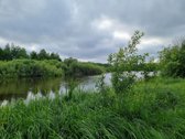 Skubiai. Parduodamas žemes ūkio paskirties
