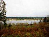 Vos 20 km. nuo Kauno miesto, Rupinų km. - nuotraukos Nr. 4