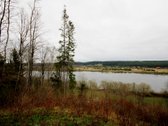 Vos 20 km. nuo Kauno miesto, Rupinų km. - nuotraukos Nr. 5