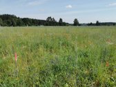 Parduodame sklypus Bajorų g. Jašiūnų mstl. - nuotraukos Nr. 2