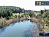 Parduodamas 3.8ha Ploto Žemės Sklypas Su Jame - nuotraukos Nr. 3