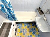 Nu dienos (apžiūrėti ir jei tiks galima tik - nuotraukos Nr. 10