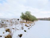 Yra leidimas gyvenamajai statybai. - nuotraukos Nr. 8