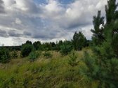Parduodami du žemės ūkio paskirties sklypai - nuotraukos Nr. 2