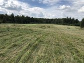 Parduodamas prižiūrėtas žemės ūkio paskirties - nuotraukos Nr. 4