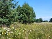 Parduodamas 1,2079 ha žemės ūkio paskirties