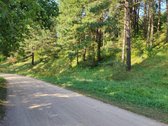 Parduodamas 1,2079 ha žemės ūkio paskirties - nuotraukos Nr. 3