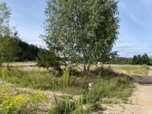 Vienbučių ir dvibučių gyvenamųjų namų - nuotraukos Nr. 11