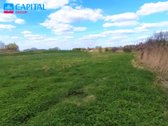 Tik už 22500 eurų Parduodamas nuostabus - nuotraukos Nr. 6