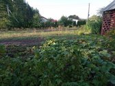 Jaukus sodo namas gamtos apsuptyje – vieta - nuotraukos Nr. 9