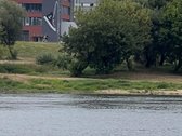 2 kambarių pilnai įrengta studija ant Nemuno - nuotraukos Nr. 31