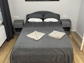 Nuomojami studijos tipo apartamentai, esantys - nuotraukos Nr. 3