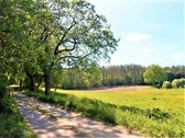 Parduodamas Žemės Sklypas 1.97 Ha Jakšiškio K - nuotraukos Nr. 6