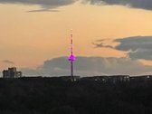 Nuomojamas tvarkingas 2 kambarių butas. Buto - nuotraukos Nr. 17