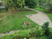 Šviesus ir šiltas, pilnai įrengtas butas su - nuotraukos Nr. 14