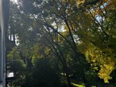 Svajojate apie savo namus, tačiau šiuo metu - nuotraukos Nr. 12
