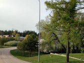 Salduvės parke, namų valdos sklypas! - nuotraukos Nr. 3