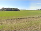 Parduodama žemės ūkio paskirties skypo dalis, - nuotraukos Nr. 4